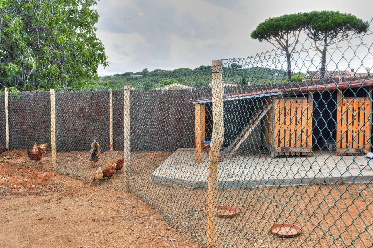 Masia Cal Ros S'Agaro Dış mekan fotoğraf
